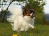 amy2_filtered_passig_gemacht