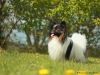 billy14a_filtered_passig_gemacht