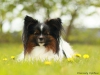 billy15a_filtered_passig_gemacht
