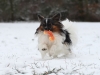 billy2_passig_gemacht_filtered_photoscape