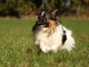 billy3_filtered_passig_gemacht