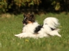 billy4_filtered_passig_gemacht