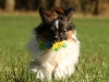 billy5_filtered_passig_gemacht