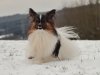 billy8_passig_gemacht_filtered_photoscape