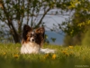 Nelly (1 von 1)
