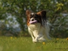 nelly4a_filtered_passig_gemacht