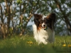 nelly7a_filtered_passig_gemacht