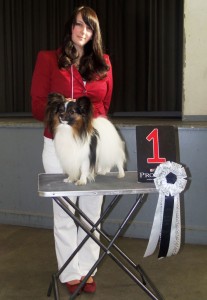 Serenely's Amore Per Sempre