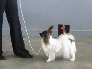 Nelly Recklinghausen